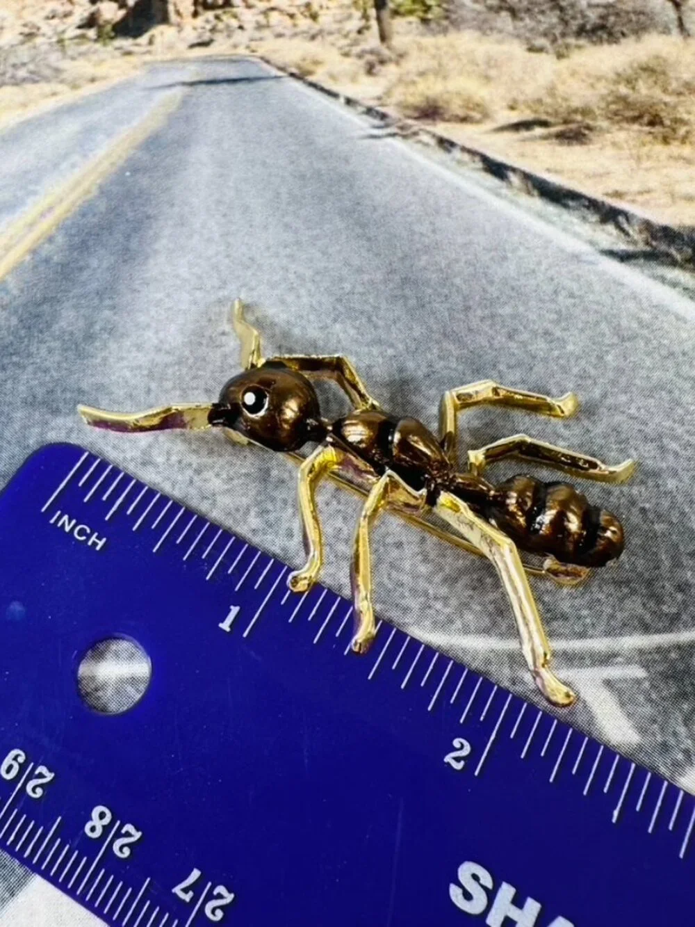 Ants in your pants oh no! How about an adorable ant pin on a jacket or a hat!